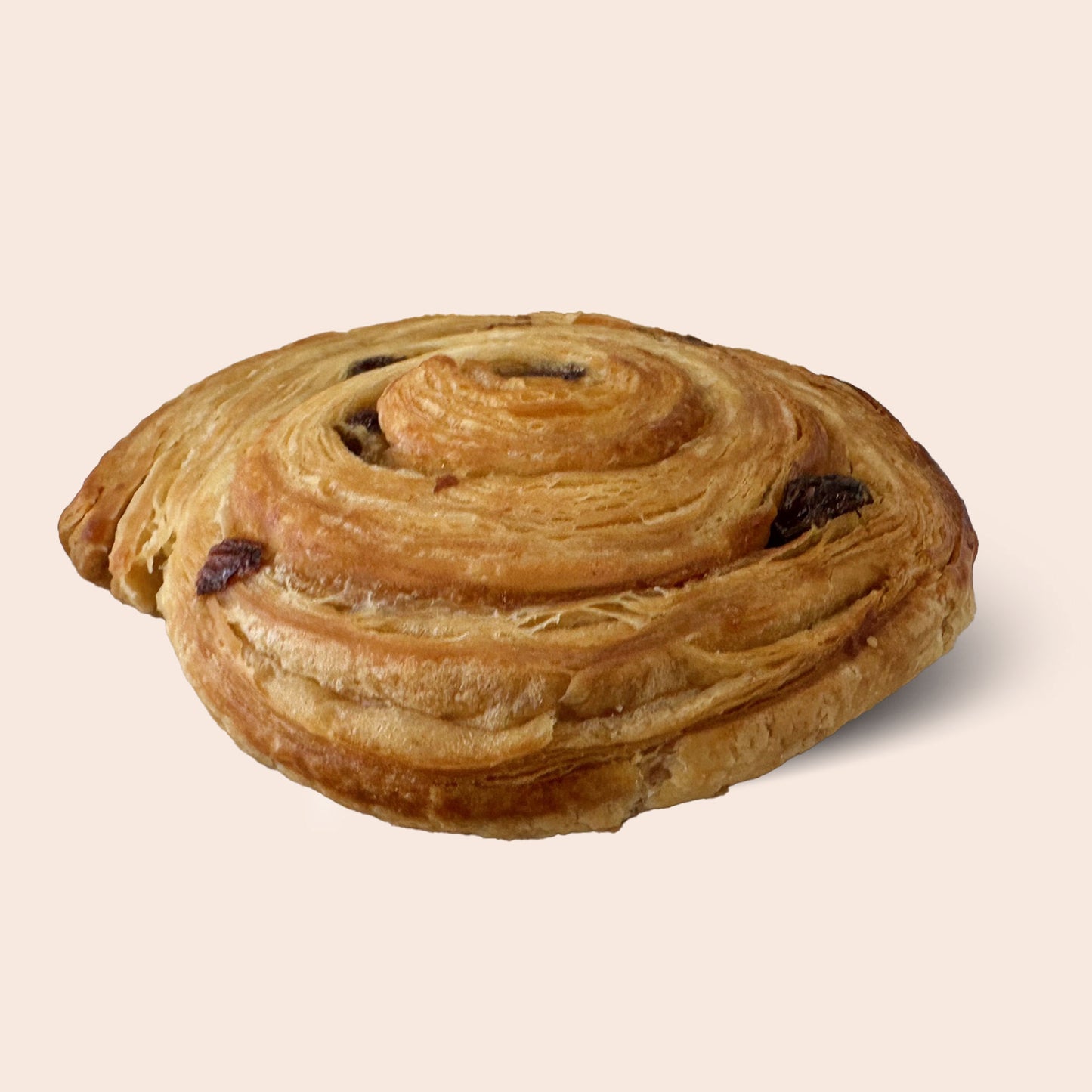 Cinnamon Roll